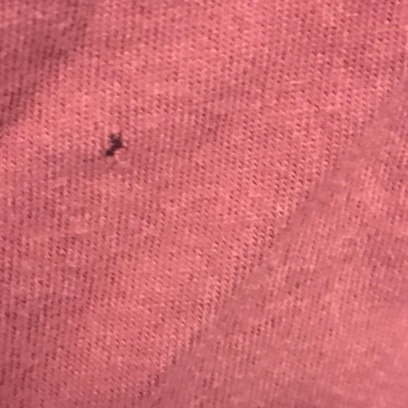 Pink Victoria Secret’s dog top long sleeve size M - Picture 2 of 3